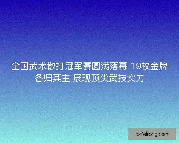 全国武术散打冠军赛圆满落幕 19枚金牌各归其主 展现顶尖武技实力